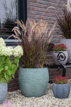 Bloempot Arizona Bullet Cypress Wash - D32 X H28.5cm - Groen 7 Bloempot Arizona Bullet Cypress Wash - D32 X H28.5cm - Groen -Buitentuinonderhouds Winkel arizona bullet cypress wash d32h285 bloempot 7 9