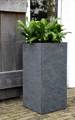 Plantenbak Arizona Cubihi - L22 X B22 X H50cm - Donkergrijs -Buitentuinonderhouds Winkel arizona cubihi graphite w22h50 plantenbak 7 4
