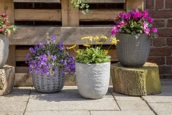 Bloempot Arkansas Egg Washed - D25 X H25cm - Lichtgrijs -Buitentuinonderhouds Winkel arkansas egg pot washed grey d25h25 bloempot 7 9