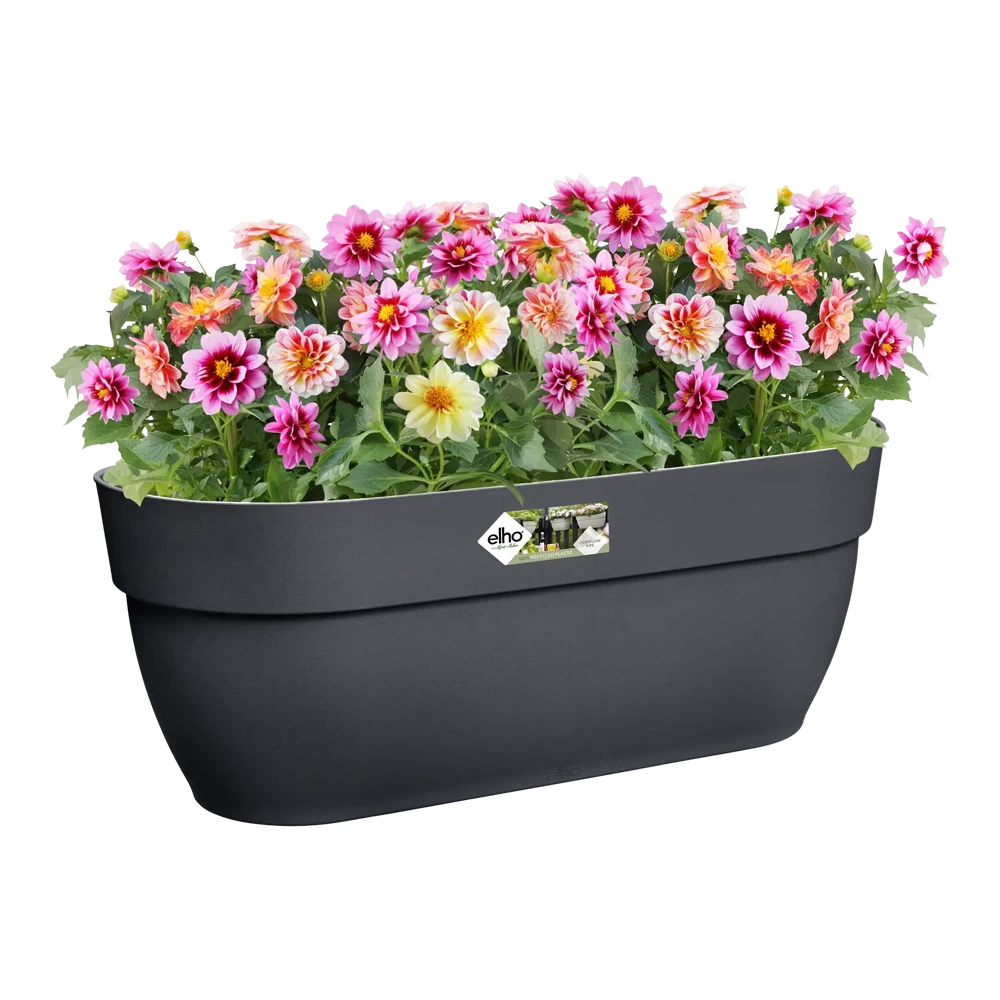 Elho Balkonbak Vibia Campana Easy Hanger Large - Antraciet - Afbeelding 4