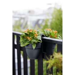 Elho Balkonbak Vibia Campana Twin 21cm - Antraciet 12 Elho Balkonbak Vibia Campana Twin 21cm - Antraciet -Buitentuinonderhouds Winkel balkonbak vibia campana twin 21cm antraciet balkonbak antraciet 5 1