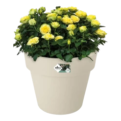Bloempot Elho Green Basics Top Planter 47cm - Katoen Wit -Buitentuinonderhouds Winkel bloempot elho green basics top planter katoen wit bloempot katoen wit 3 1 1