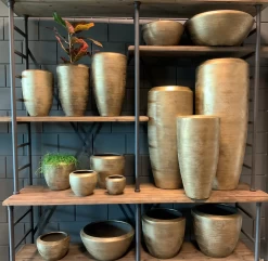 Plantenschaal Kos - D55 X H22cm - Goud -Buitentuinonderhouds Winkel bloempot kos serie goud bloempot 3 1 6