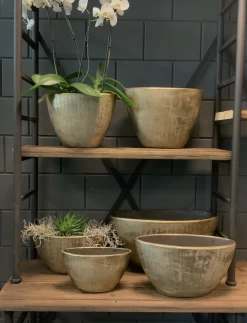 Bloempot Kos Ovaal - L55 X B23 X H29cm - Goud -Buitentuinonderhouds Winkel bloempot kos serie ovaal goud bloempot 3 1