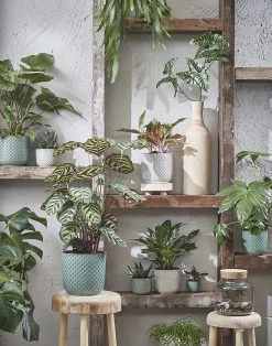 Bloempot Daan - D19 X H17.5cm - Blauw -Buitentuinonderhouds Winkel daan pot rond blauw h17 5xd19cm bloempot 7 13