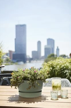 Plantenschaal Elho Greenville 33cm - Bladgroen -Buitentuinonderhouds Winkel greenville schaal 33cm bloempot bladgroen 6 13