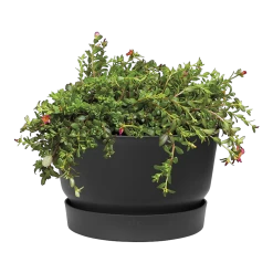 Buitentuinonderhouds Winkel -Buitentuinonderhouds Winkel greenville schaal 33cm bloempot living black 2 7
