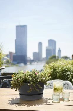 Plantenschaal Elho Greenville 33cm - Living Black -Buitentuinonderhouds Winkel greenville schaal 33cm bloempot living black 6 13