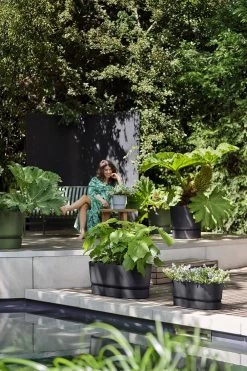 Bloembak Elho Greenville Terrace Long 50cm - Met Wielen - Living Black -Buitentuinonderhouds Winkel greenville trough long 50 plantenbak living black 6 13