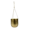 Hangpot Kody - D16 X H18cm - Goud