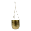Hangpot Kody - D17 X H20cm - Goud -Buitentuinonderhouds Winkel hanger kody gold d17 h20 hangpot 1 4
