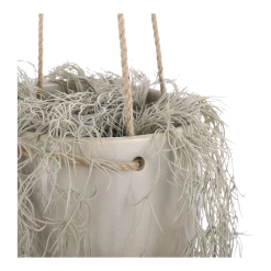 Hangpot Resa - D18,5 X H17cm - Lichtgrijs -Buitentuinonderhouds Winkel hangpot resa d18 5 x h17cm lichtgrijs hangpot 3 1