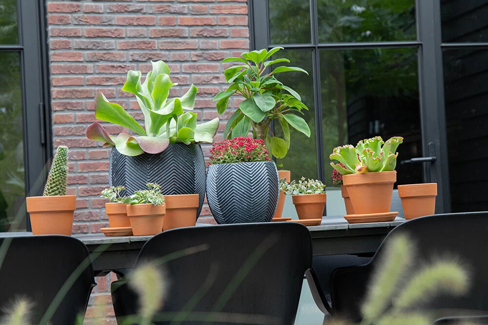 Bloempot Iowa Bullet - D57 X H50.5cm - Donkergrijs 5 Bloempot Iowa Bullet - D57 X H50.5cm - Donkergrijs - Afbeelding 3