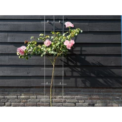 Nature - Metalen Klimrek Geplastificeerd Groen H145x42,5cm -Buitentuinonderhouds Winkel nature metalen klimrek geplastificeerd groen h145x42 5cm 3 2