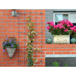 Nature - Metalen Klimrek Geplastificeerd Groen H145x72,5cm -Buitentuinonderhouds Winkel nature metalen klimrek geplastificeerd groen h145x72 5cm 3 2