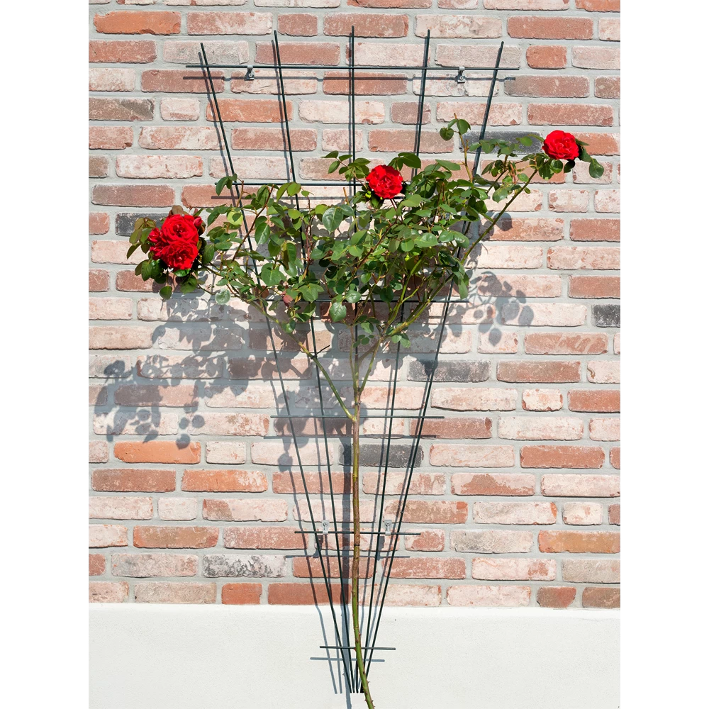 Nature - Metalen Klimrekv Geplastificeerd Groen H145x5/75cm 4 Nature - Metalen Klimrekv Geplastificeerd Groen H145x5/75cm - Afbeelding 2