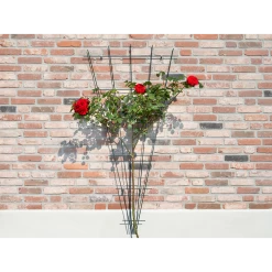 Nature - Metalen Klimrekv Geplastificeerd Groen H145x5/75cm 8 Nature - Metalen Klimrekv Geplastificeerd Groen H145x5/75cm -Buitentuinonderhouds Winkel nature metalen klimrekv geplastificeerd groen h145x5 75cm 3 2