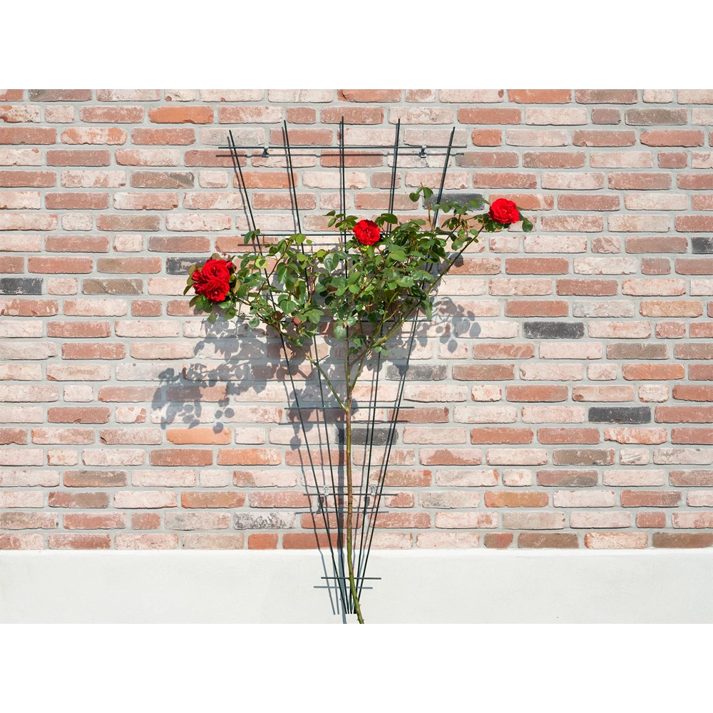 Nature - Metalen Klimrekv Geplastificeerd Groen H145x5/75cm 5 Nature - Metalen Klimrekv Geplastificeerd Groen H145x5/75cm - Afbeelding 3