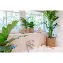 Plantenmand Joris - D30 X H27cm - Naturel 7 Plantenmand Joris - D30 X H27cm - Naturel -Buitentuinonderhouds Winkel plantenmand joris naturel plantenmand 3 2