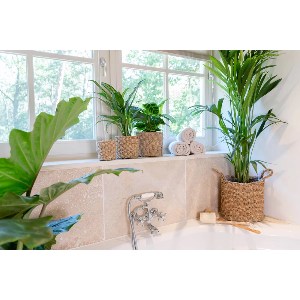 Plantenmand Joris - D30 X H27cm - Naturel 5 Plantenmand Joris - D30 X H27cm - Naturel - Afbeelding 3