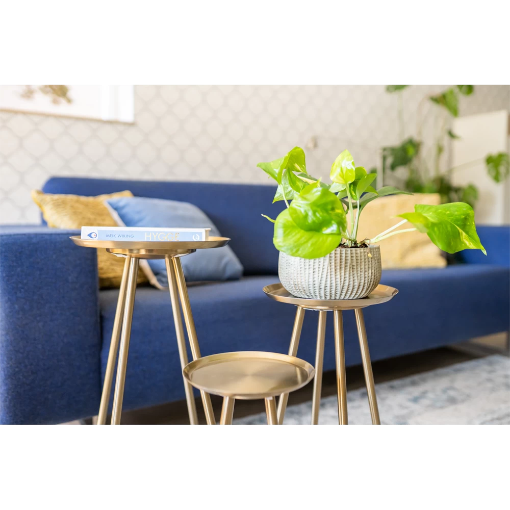 Plantenschaal Felco - D22 X H12cm 4 Plantenschaal Felco - D22 X H12cm - Afbeelding 2