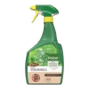 Pokon Bio Tegen Schimmels Spray 800ml - Schimmels -Buitentuinonderhouds Winkel pokon bio tegen schimmels spray 800ml schimmels 1 1