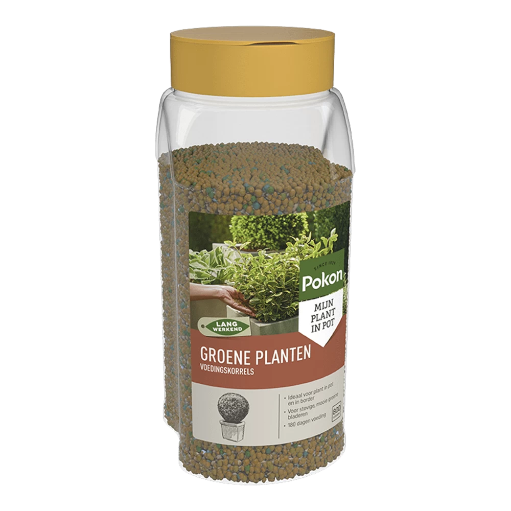 Pokon Groene Planten Voedingskorrels 800g - Kamerplanten Voeding 3 Pokon Groene Planten Voedingskorrels 800g - Kamerplanten Voeding