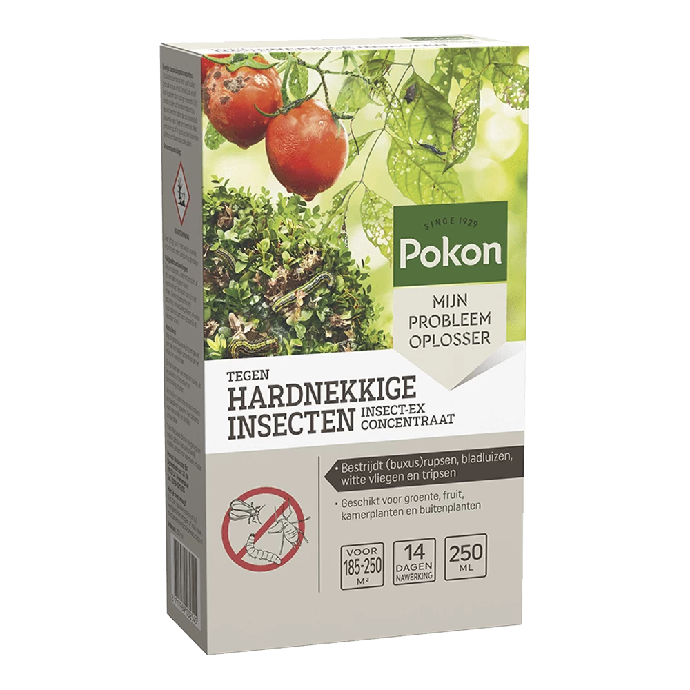 Pokon Tegen Hardnekkige Insecten Concentraat 250ml - Insecten En Ongedierte