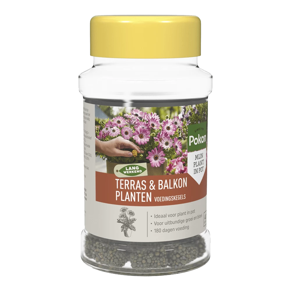 Pokon Terras & Balkon Planten Voedingskegels 40 Stuks - Tuinplanten Voeding 3 Pokon Terras & Balkon Planten Voedingskegels 40 Stuks - Tuinplanten Voeding