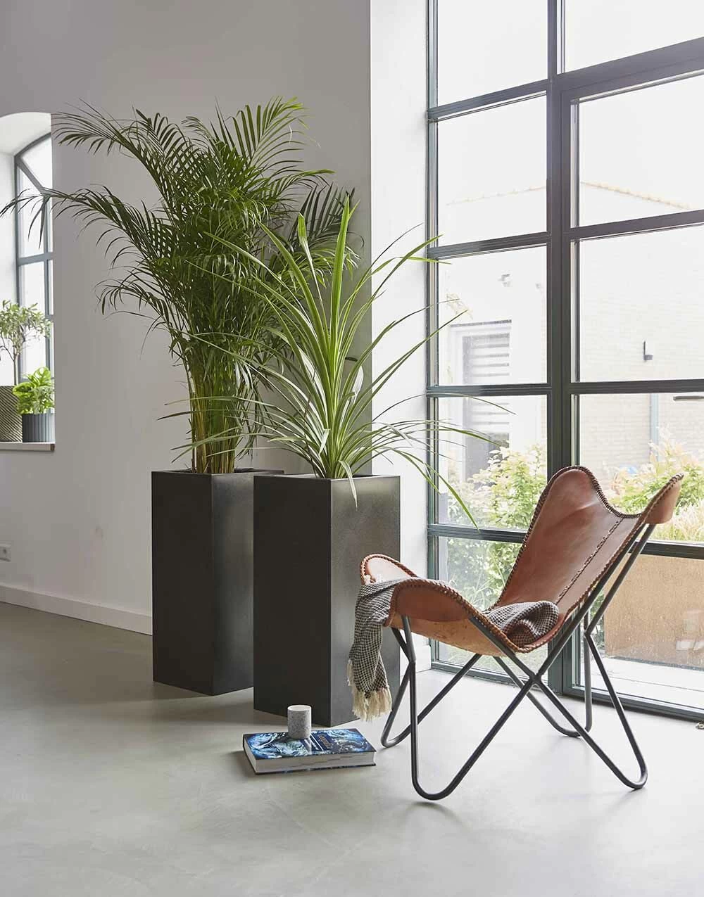 Capi Plantenbak Rechthoek Urban Smooth NL - L36 X B36 X H79cm - Zwart 4 Capi Plantenbak Rechthoek Urban Smooth NL - L36 X B36 X H79cm - Zwart - Afbeelding 2