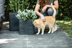 Capi Plantenbak Vierkant Nature Rib NL - L30 X B30 X H30cm - Zwart -Buitentuinonderhouds Winkel pot vierkant rib nl 30x30x30 zwart plantenbak 7 8