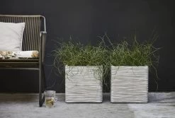 Capi Plantenbak Vierkant Nature Rib NL - L40 X B40 X H40cm - Ivoor 7 Capi Plantenbak Vierkant Nature Rib NL - L40 X B40 X H40cm - Ivoor -Buitentuinonderhouds Winkel pot vierkant rib nl 40x40x40 ivoor plantenbak 7 8