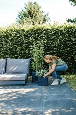 Capi Plantenbak Vierkant Nature Rib NL - L40 X B40 X H40cm - Zwart -Buitentuinonderhouds Winkel pot vierkant rib nl 40x40x40 zwart plantenbak 7 8