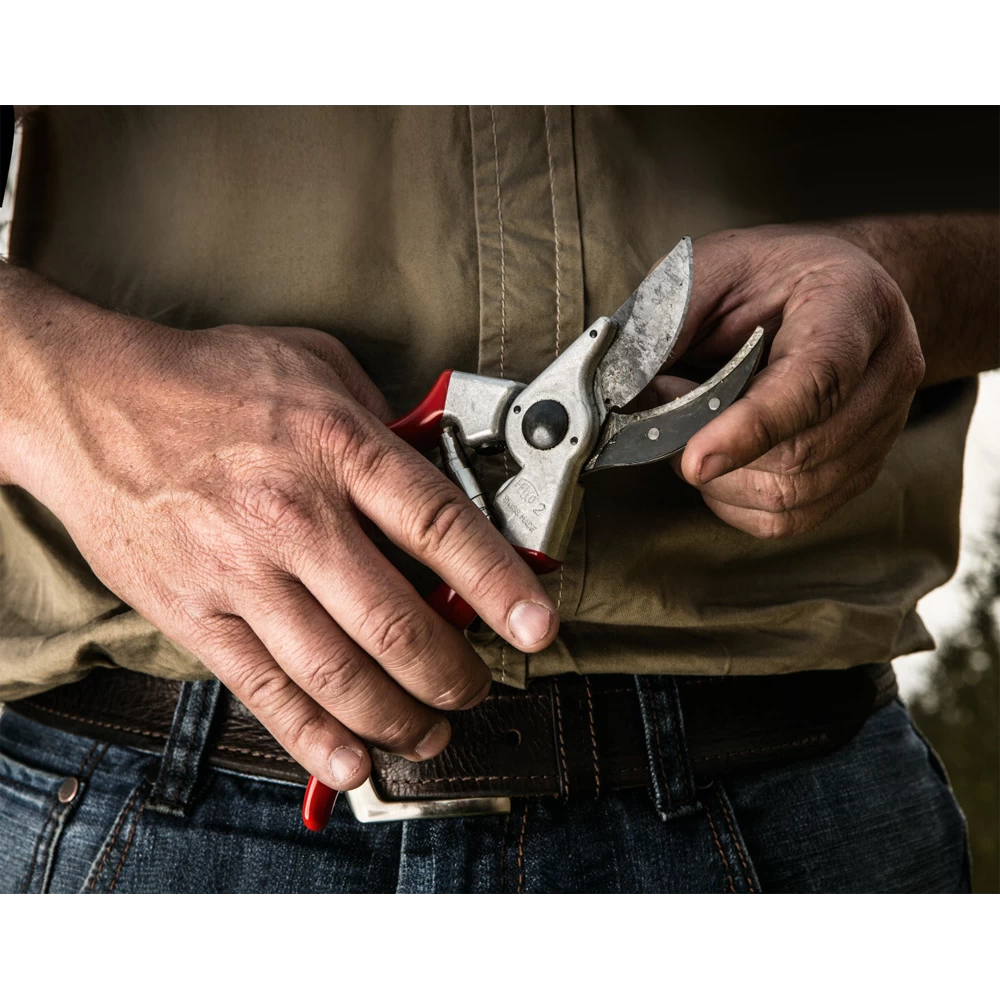 Professionele Felco 2 Snoeischaar Max 25 Mm - Felco 4 Professionele Felco 2 Snoeischaar Max 25 Mm - Felco - Afbeelding 2