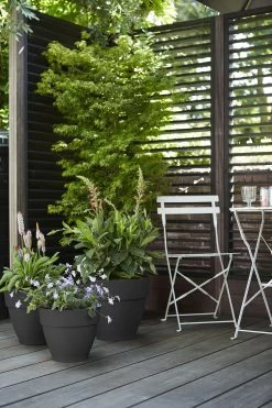 Bloempot Elho Vibia Campana Rond 40cm - Antraciet -Buitentuinonderhouds Winkel vibia campana rond 40 bloempot antraciet 7 11