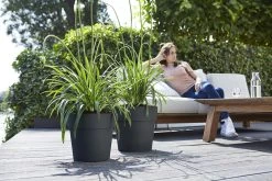 Bloempot Elho Vibia Straight Rond 47cm - Antraciet -Buitentuinonderhouds Winkel vibia straight rond 47cm bloempot antraciet 7 11