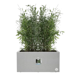 Elho Vivo Next Lang Wielen 80cm - Warm Grijs -Buitentuinonderhouds Winkel vivo matt lang wielen 80cm warm grijs 5 1