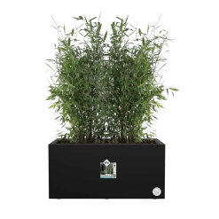 Elho Vivo Next Lang Wielen 60cm - Living Black -Buitentuinonderhouds Winkel vivo next lang wielen 60cm living black 5 1