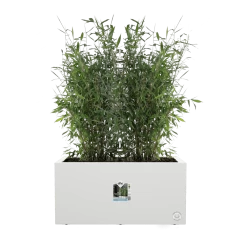 Elho Vivo Next Lang Wielen 60cm - Wit -Buitentuinonderhouds Winkel vivo next lang wielen 60cm wit 5 1